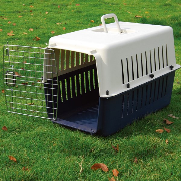 Dog transport box