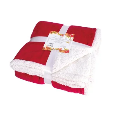 Sherpa Blanket in 2 Layer