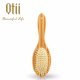 Oval Bamboo Brush with Wooden  9204B-4